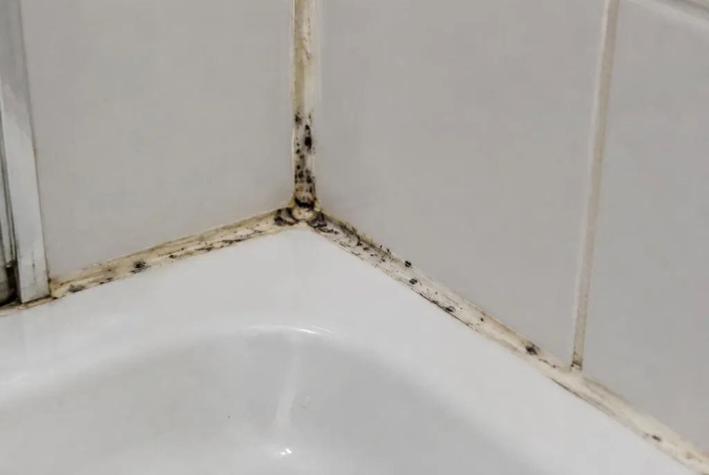Kitbedrijf Wassenaar – beschimmelde kitranden